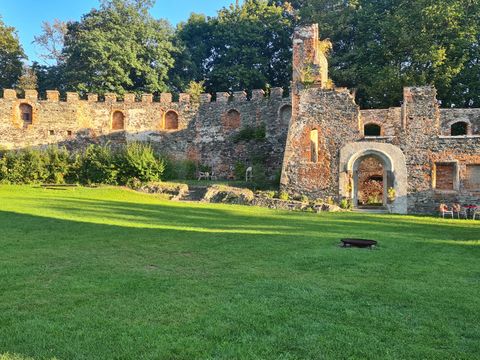 Schlossruine Hartenstein 4 (c)Steven Hentschel