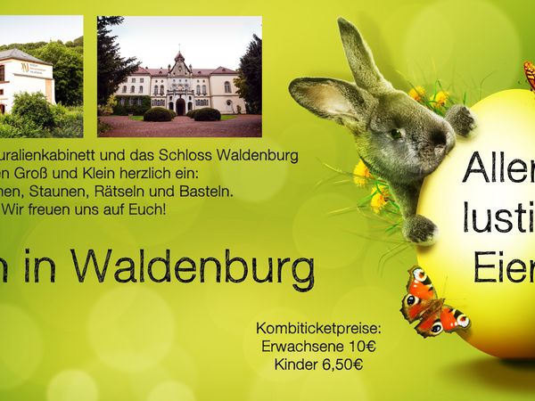 Kombiticket Museum-Naturalienkabinett Waldenburg und Schloss Waldenburg