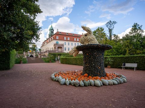 Lichtenwalde Kürbisfestival 1